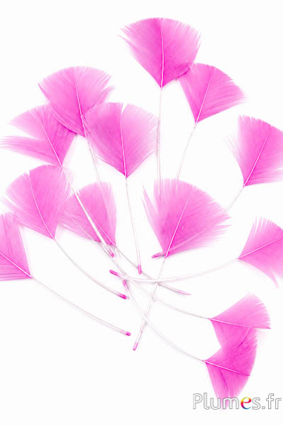 Petali in piume - 6-8 cm x 3-4 cm - rosa vecchia